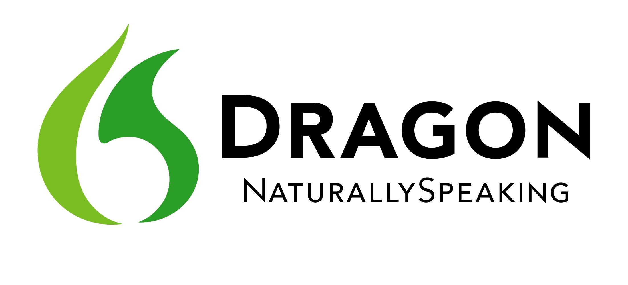 Dragon Naturally Speaking Logo